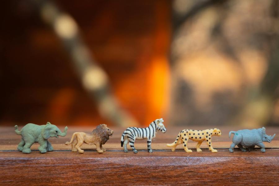 zoo animal miniatures lined up on a table