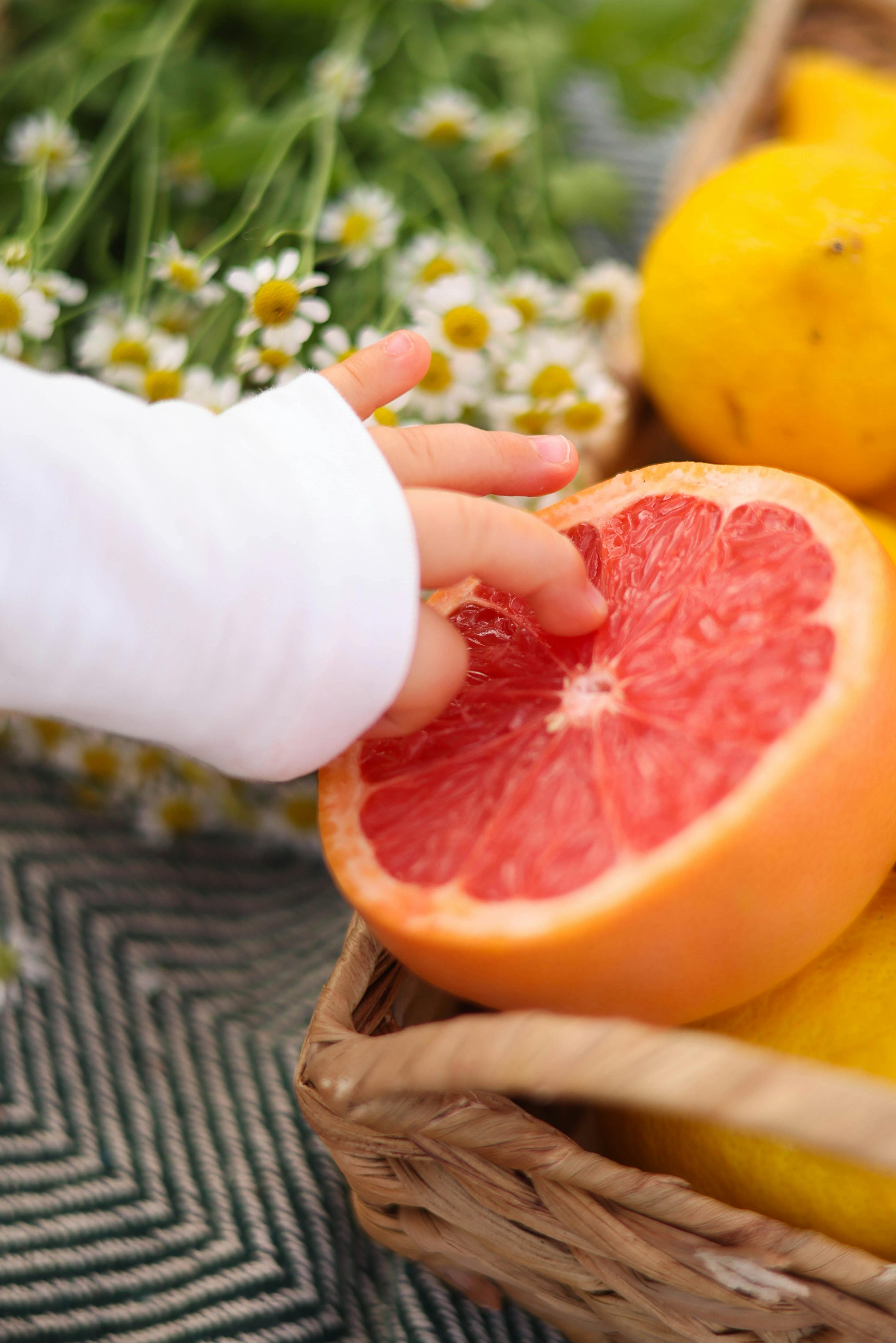 A baby touches the flesh of a cut grapefruit. Cut flowers and a tray of lemons are behind the baby's hand and slightly out of focus.